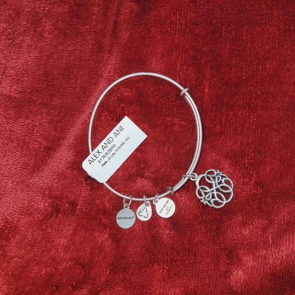 WEAR FOR GROWTH + NEW BEGINNINGS  Alex And Ani Bracelet - Picture 4 of 6